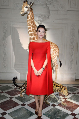 Ziyi Zhang pic #618853