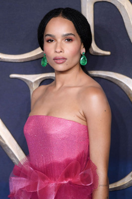 photo 22 in Zoe Kravitz gallery [id1084485] 2018-11-20 00:00:00