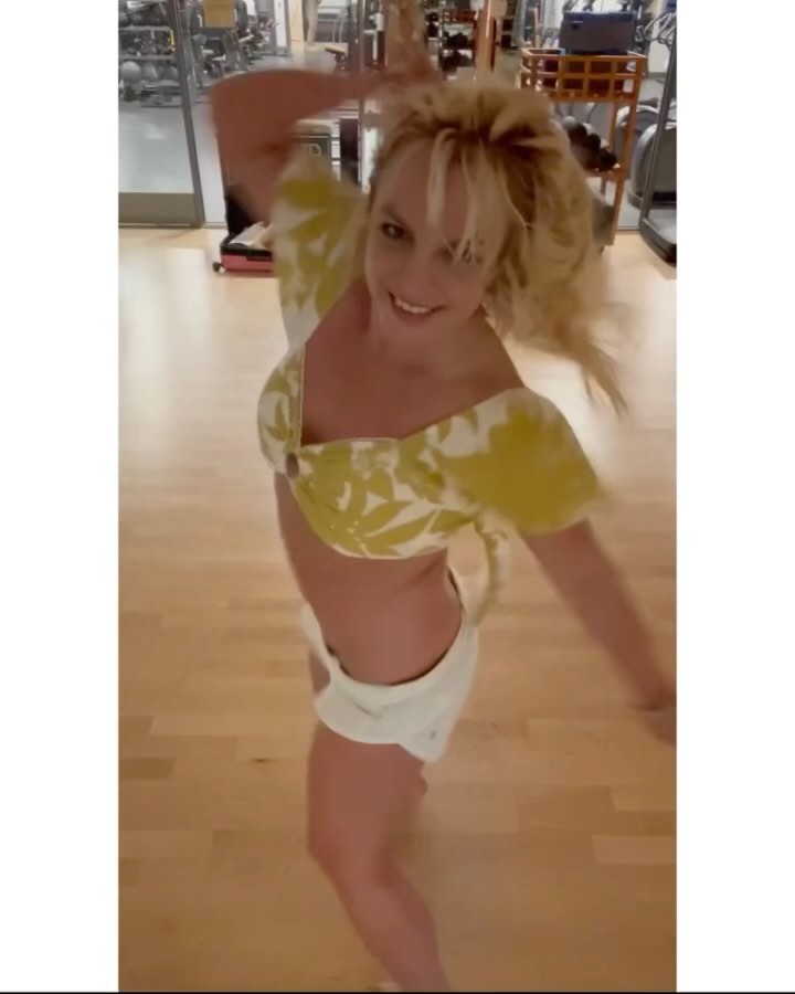 Britney Spears instagram post 452984