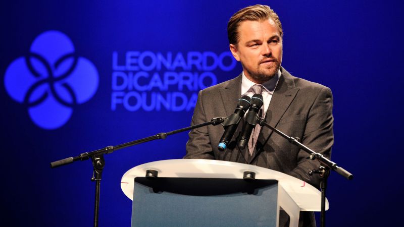 Leonardo DiCaprio Foundation Donates $1 Million for the Victims of Hurricane Harvey