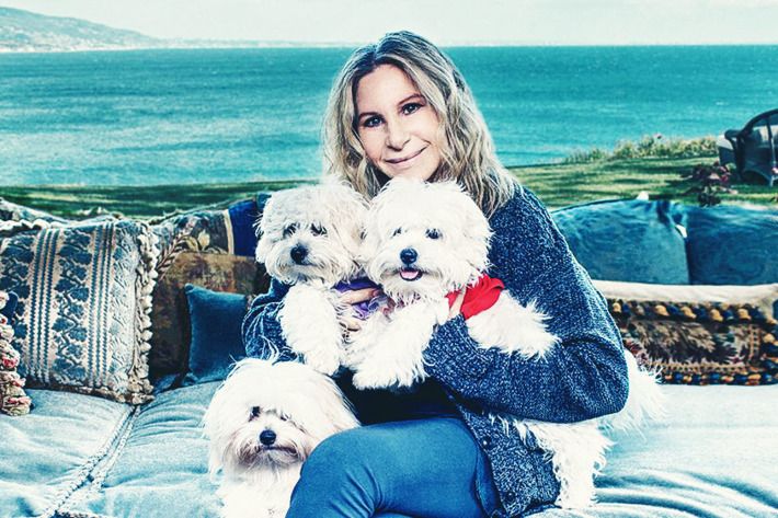 Cloned Dogs Of Barbra Streisand