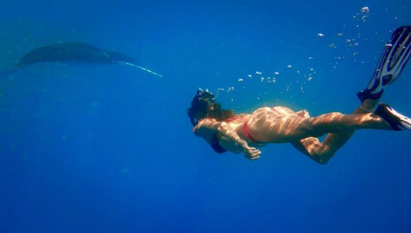 Alessandra Ambrosio in a bikini swam with dolphins