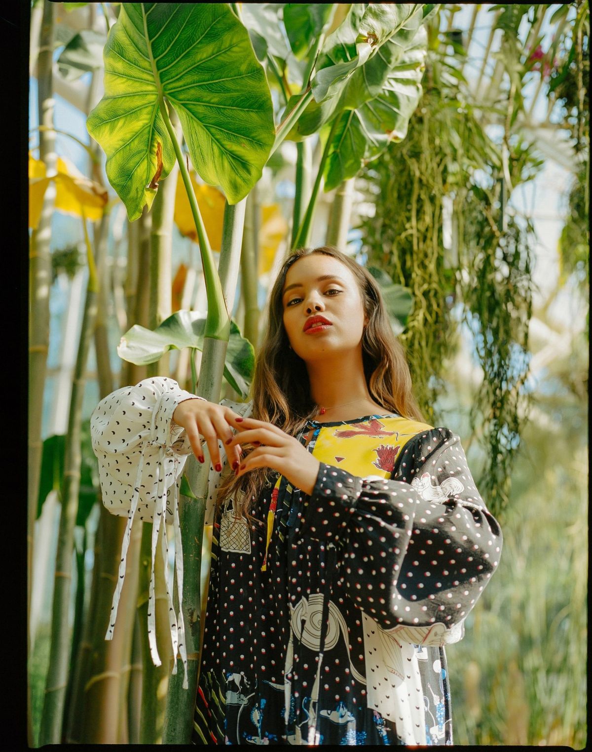 Alisha Boe, photo #1042452