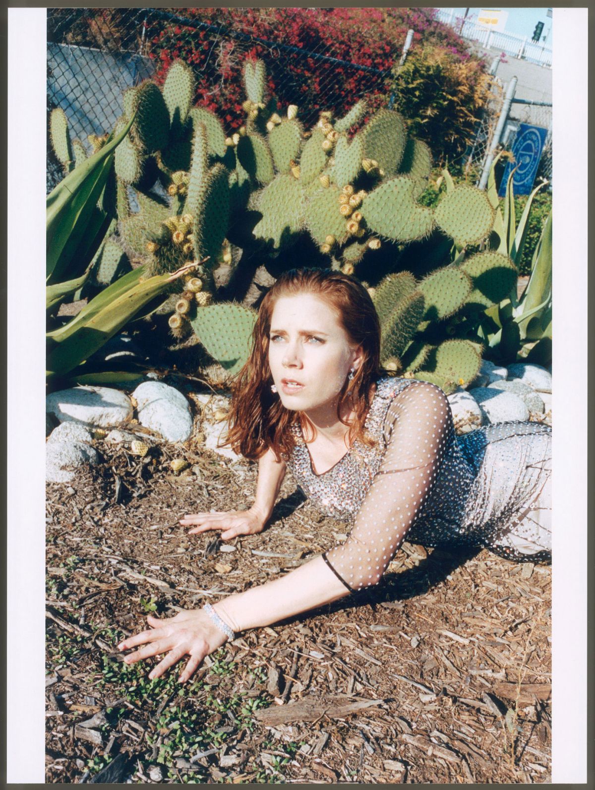 Amy Adams, photo #660709