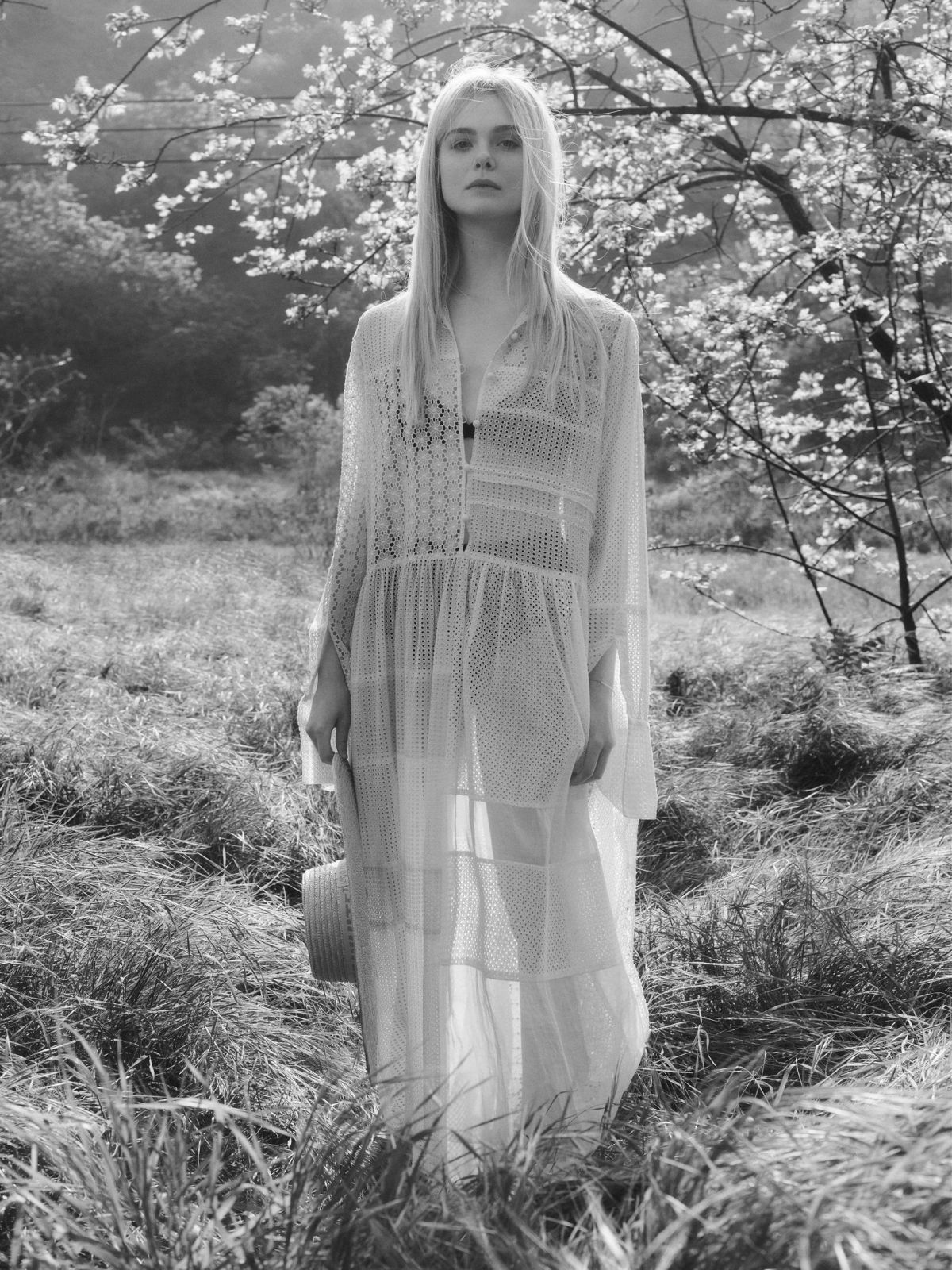 Elle Fanning, photo #1035143