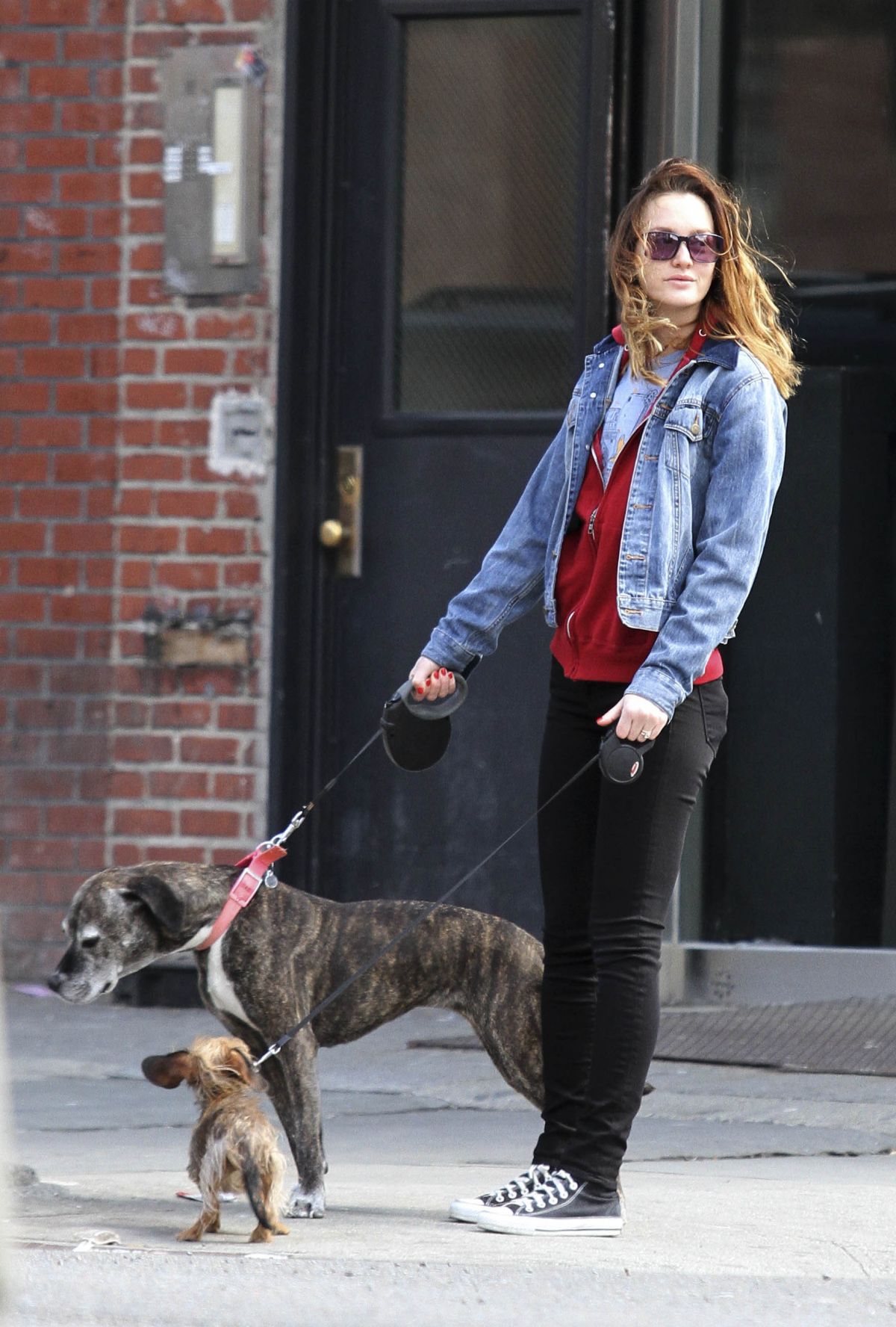 Leighton Meester, photo #690092