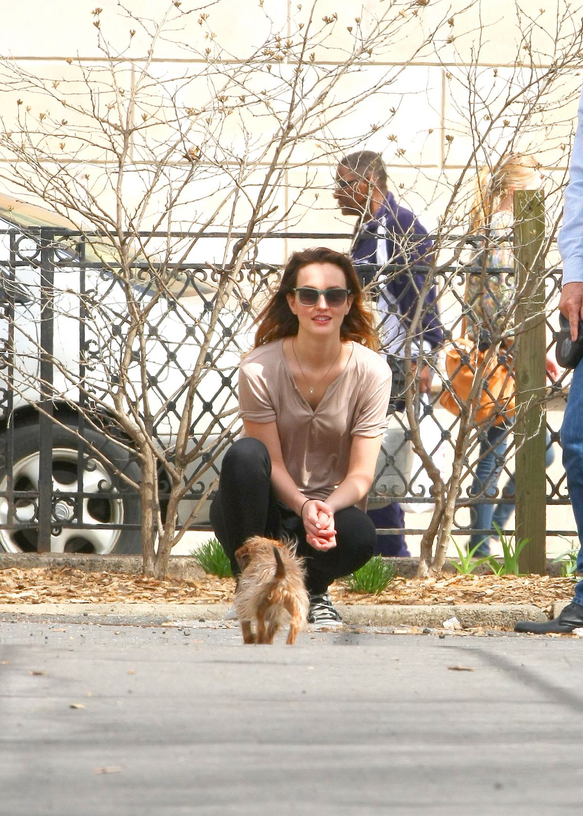 Leighton Meester, photo #691545
