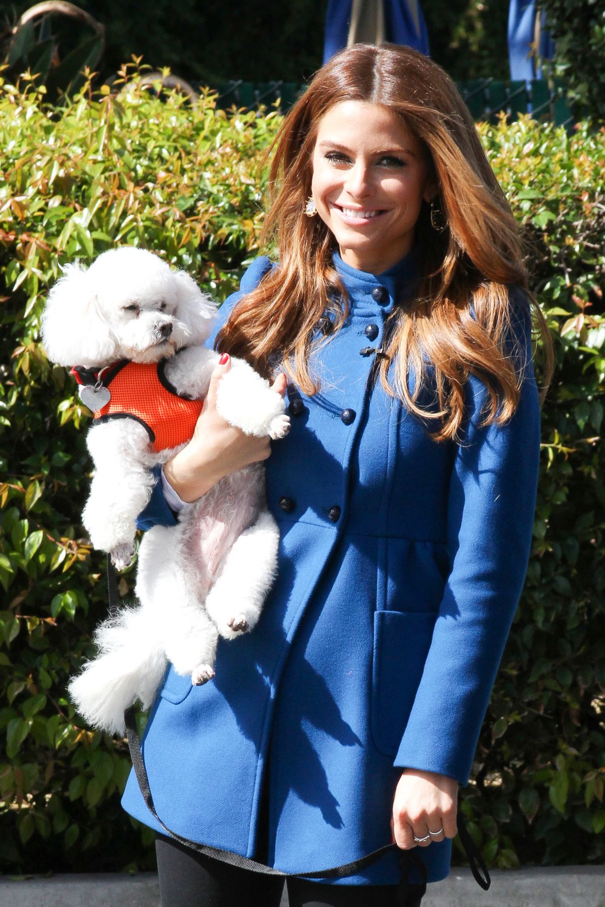 Maria Menounos, photo #676381