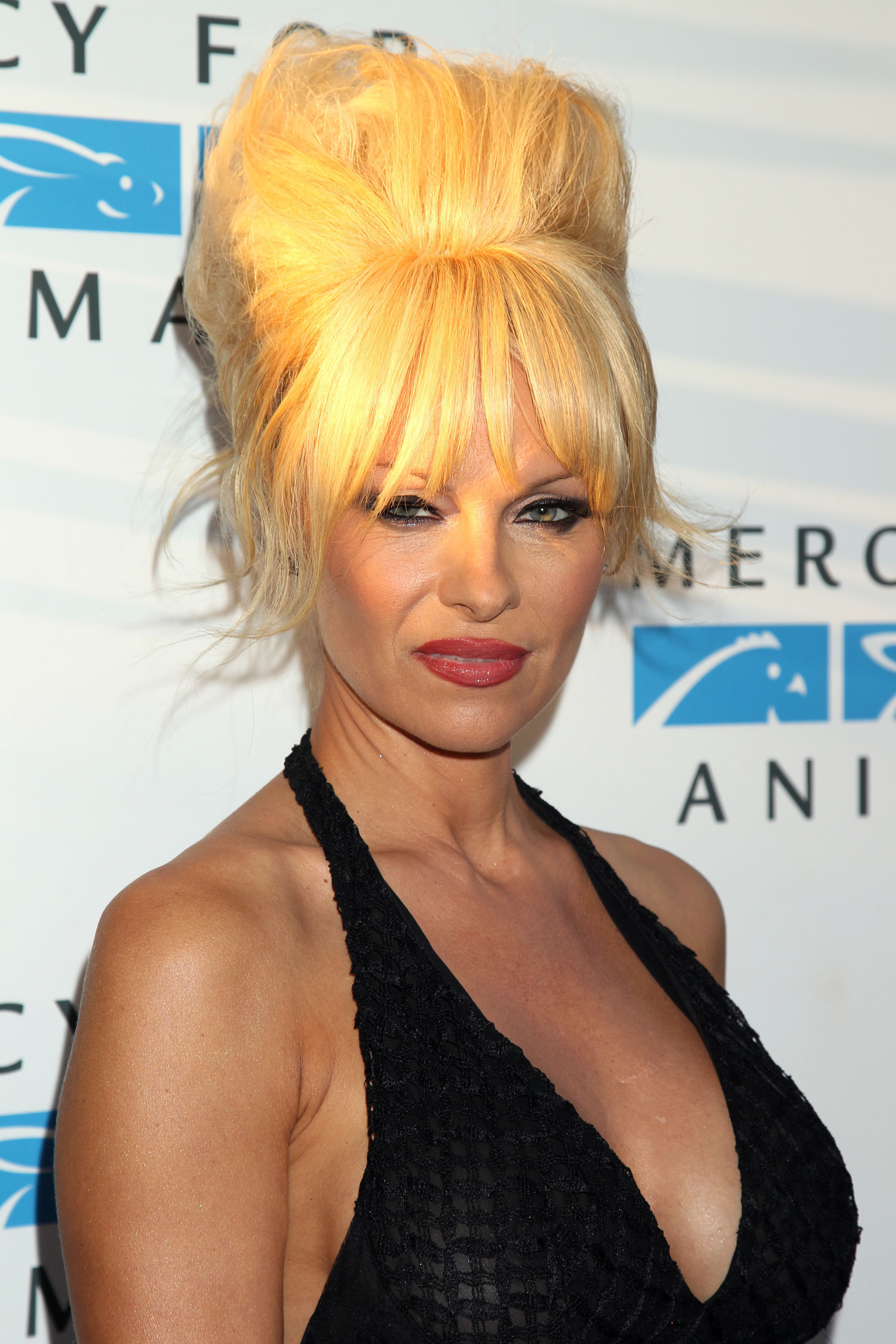 Pamela Anderson, photo #733299