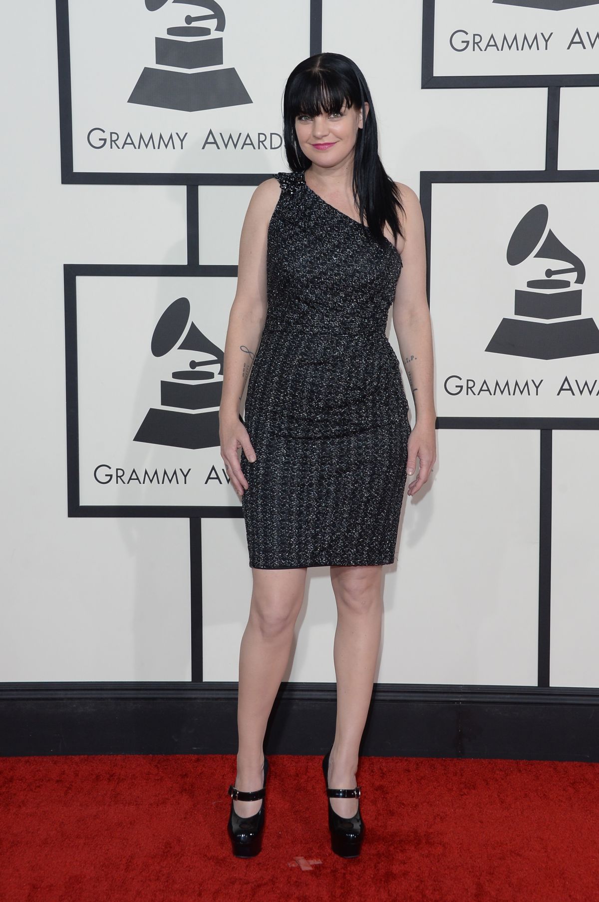 Pauley Perrette, photo #669030