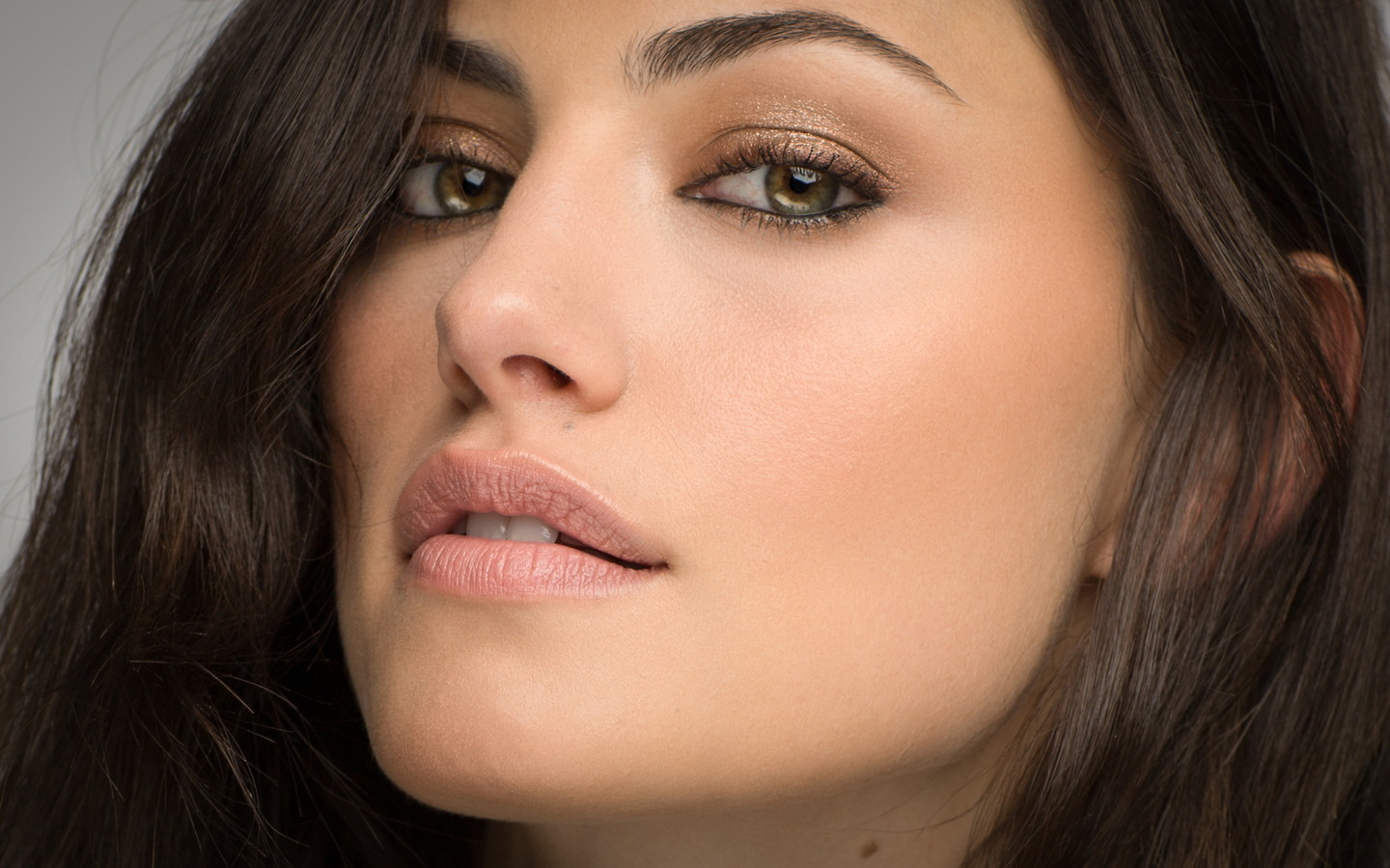 Phoebe Tonkin, photo #788520