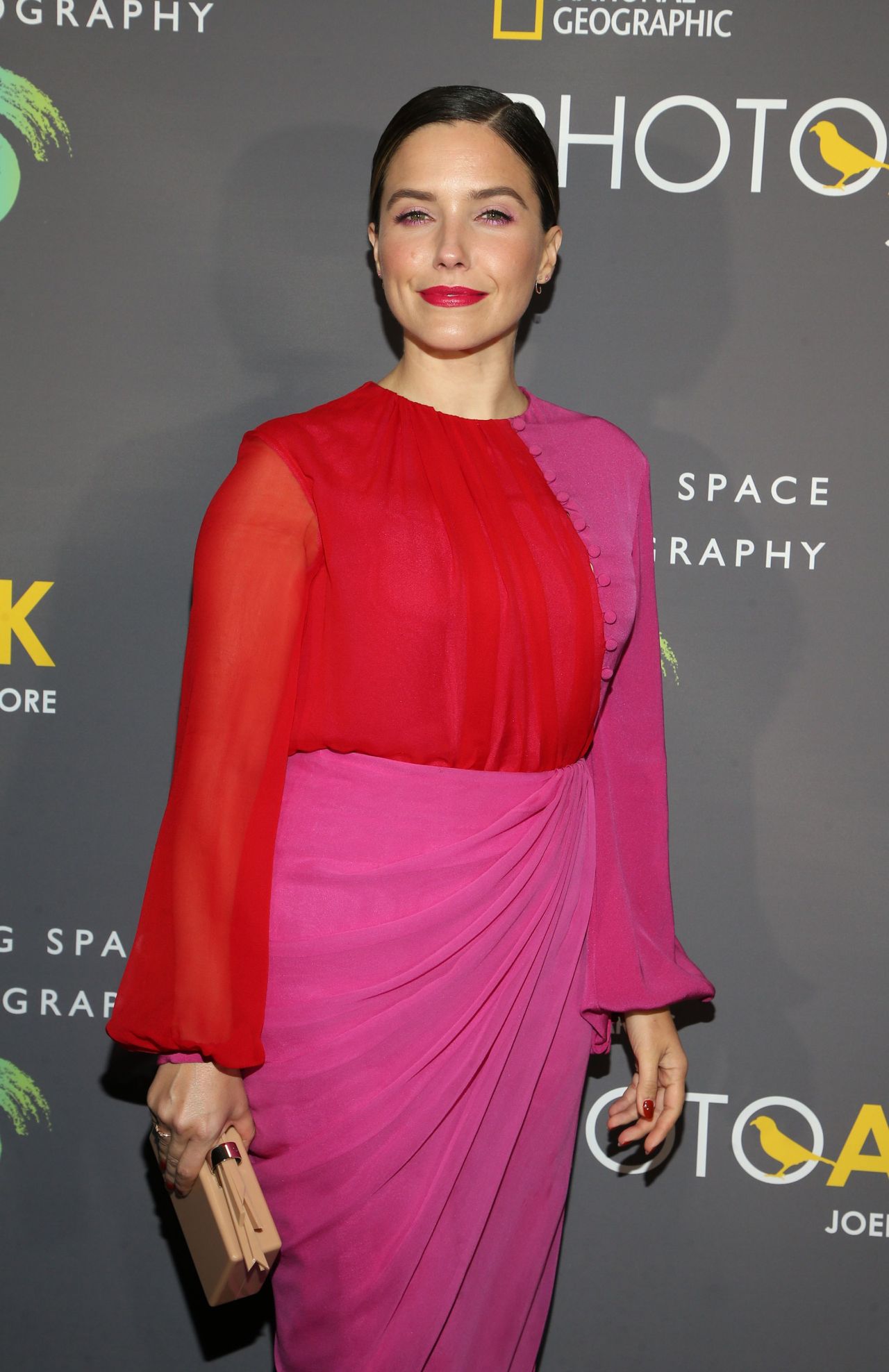Sophia Bush, photo #1074568