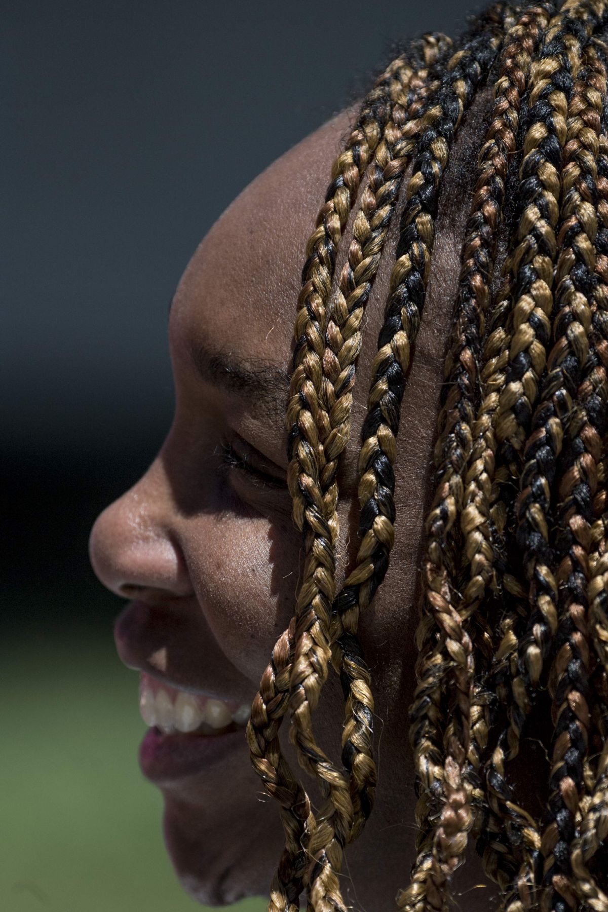 Venus Williams, photo #1034986