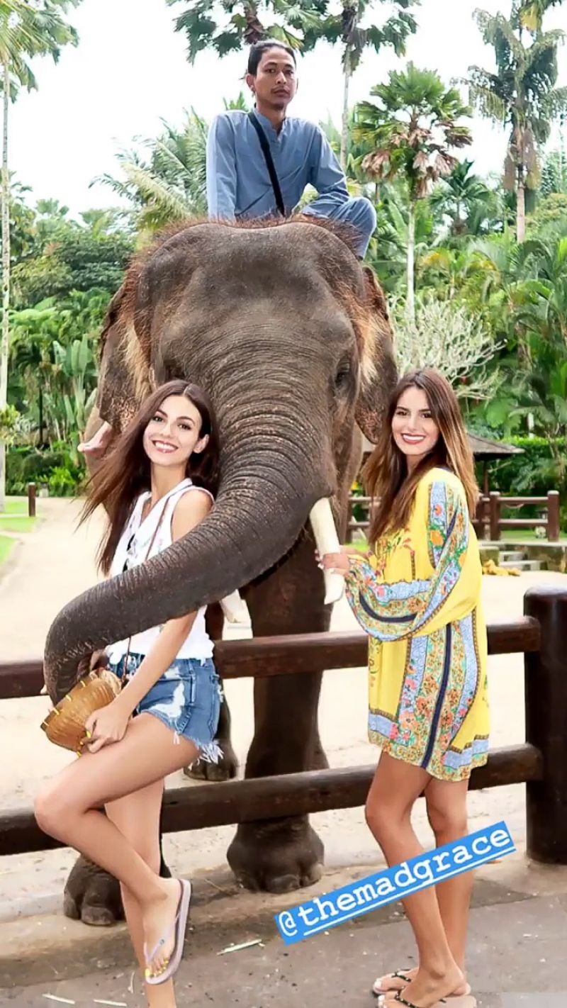 Victoria Justice, photo #1065037